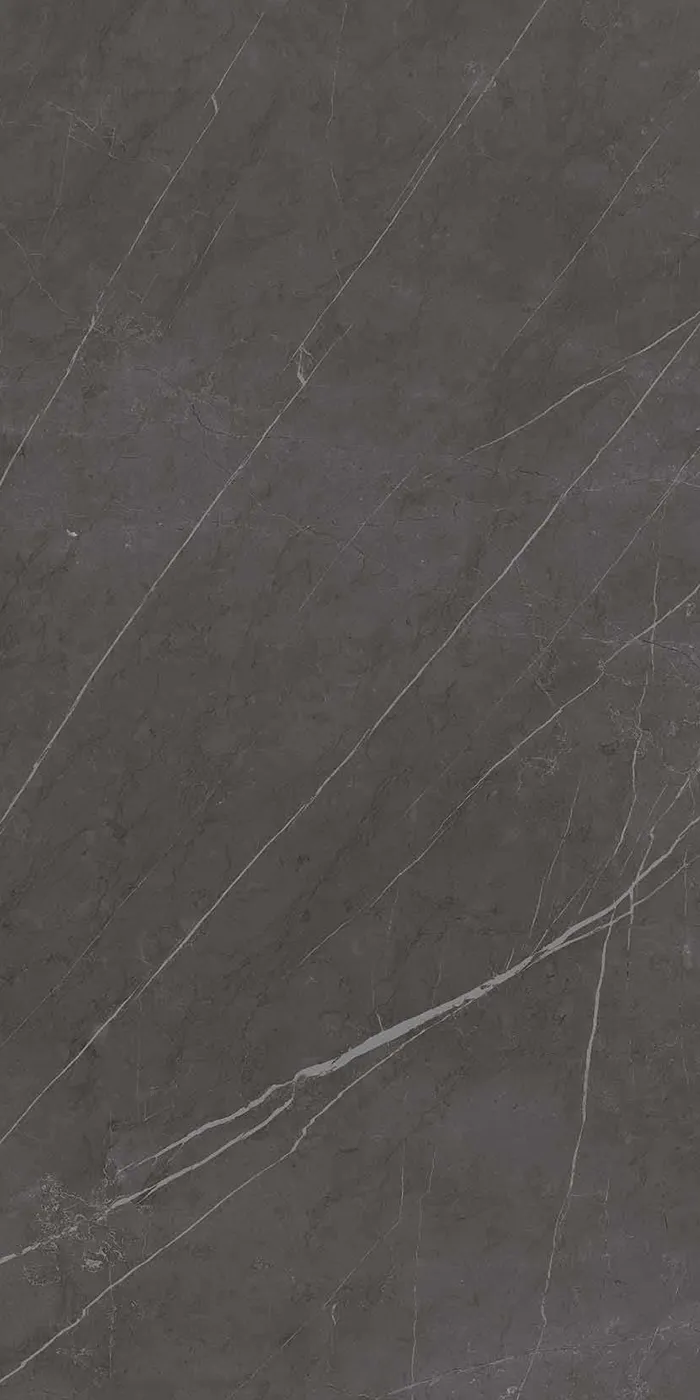 Marble Pietra Grey 8mm Active 60x120